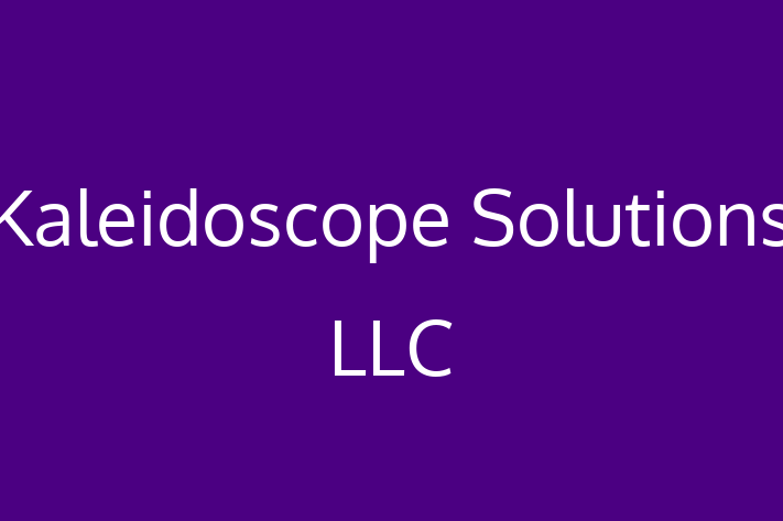 Software Consultancy Kaleidoscope Solutions LLC