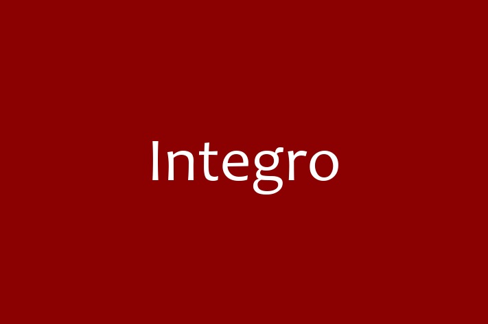 Application Development Company Integro