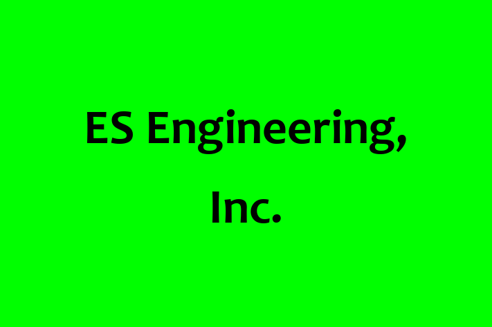 Software Consultancy ES Engineering Inc.