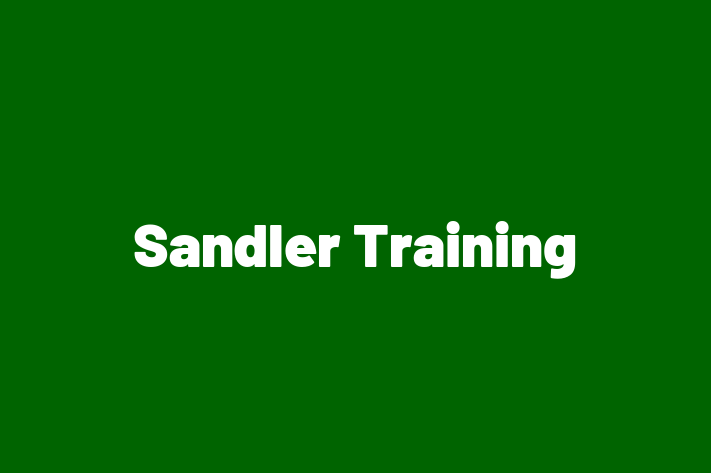 IT Company Sandler Training