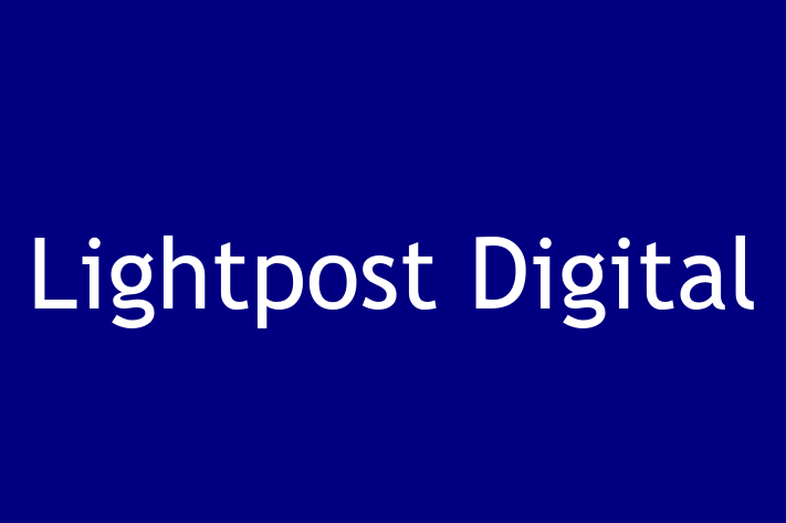 Software Solutions Provider Lightpost Digital