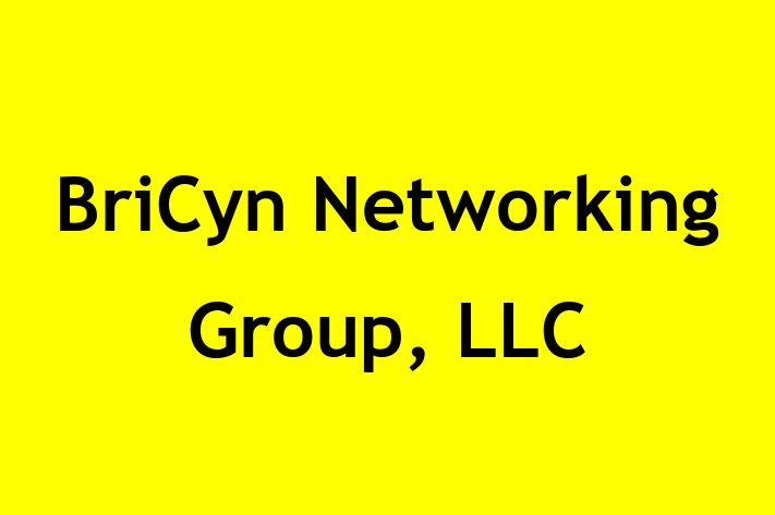 Software House BriCyn Networking Group LLC