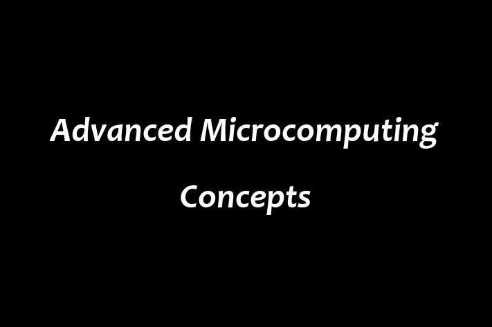 Software Engineering Company Advanced Microcomputing Concepts