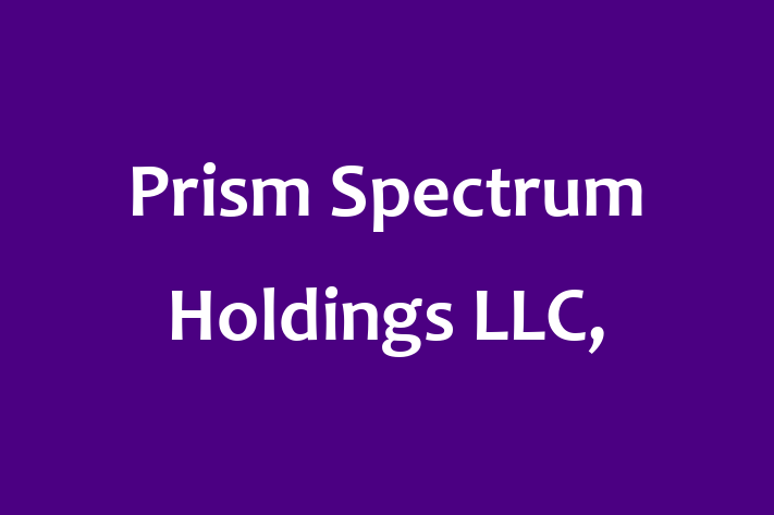 Software Services Company Prism Spectrum Holdings LLC