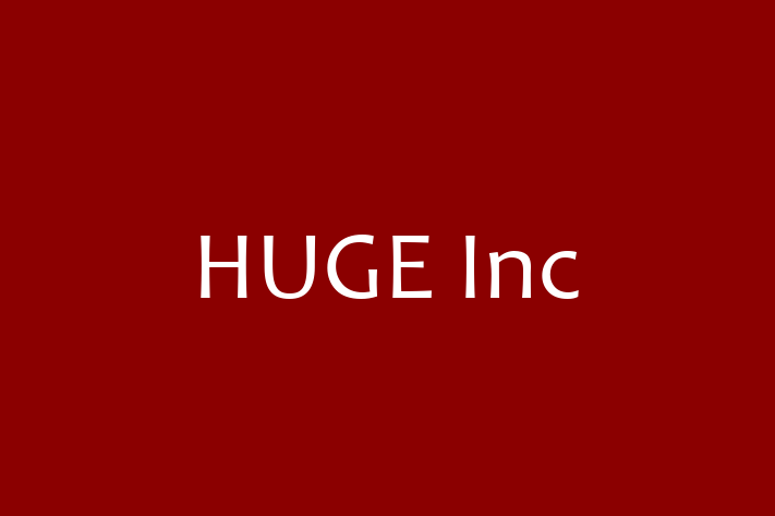 Software Solutions Provider HUGE Inc