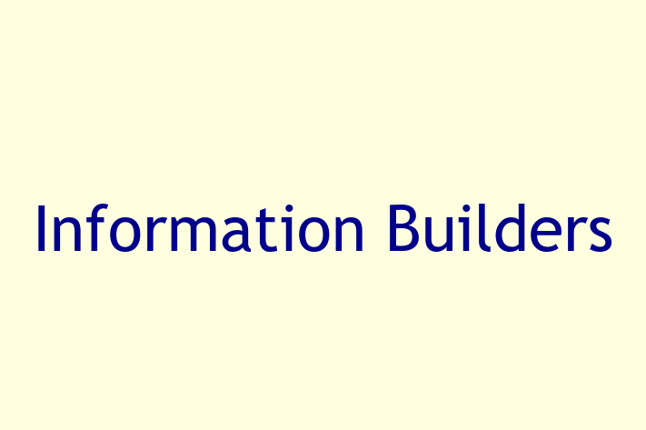 Tech Solutions Company Information Builders