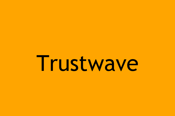 Software Solutions Provider Trustwave