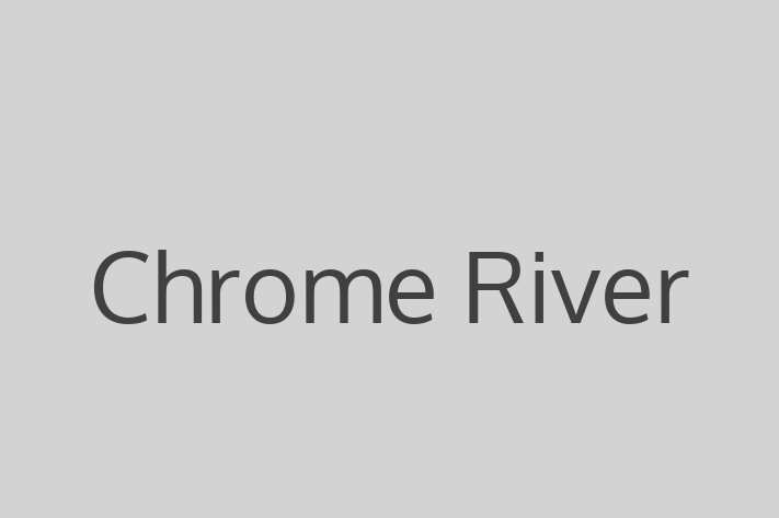 Software Services Company Chrome River