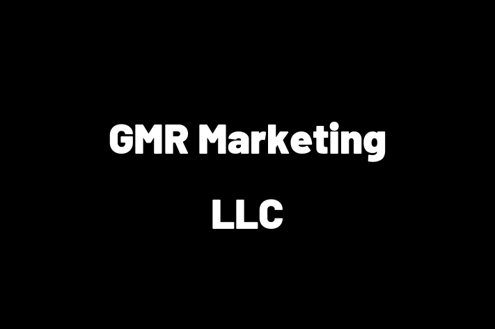 Software Engineering Company GMR Marketing LLC