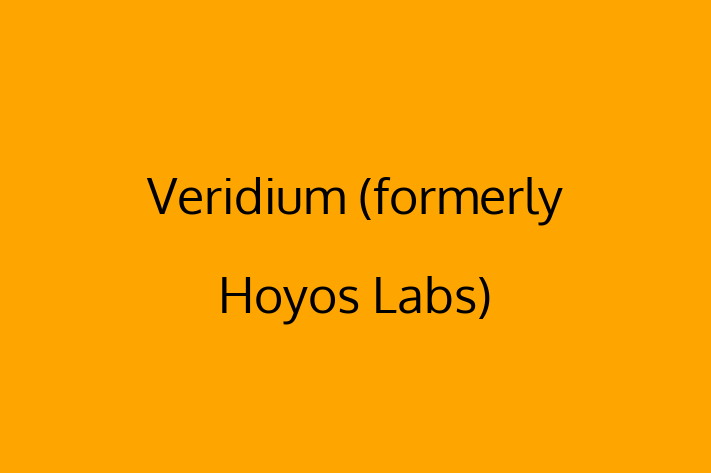 Software Engineering Company Veridium formerly Hoyos Labs