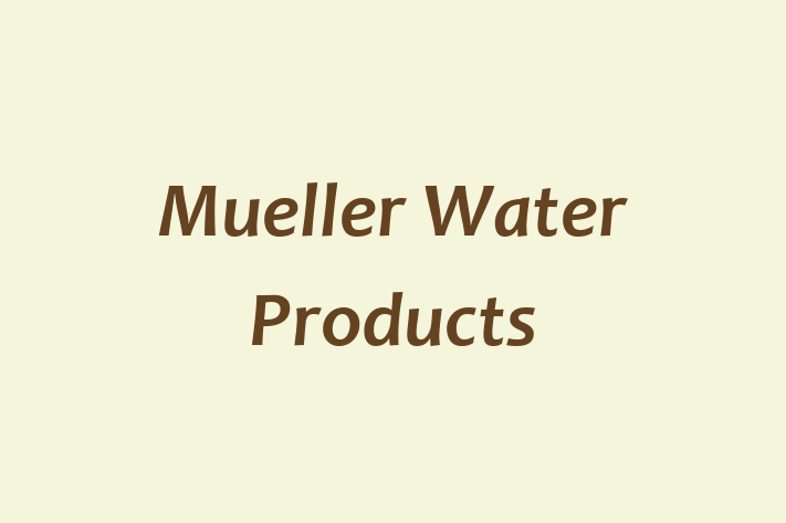 Human Resource Management Mueller Water Products