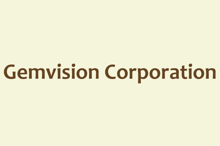 Software Development Company Gemvision Corporation