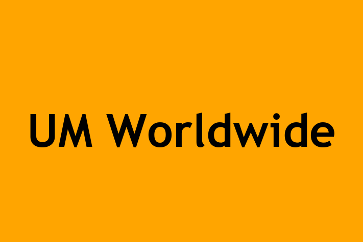 Technology Company UM Worldwide