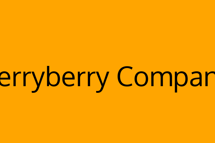 Software Consultancy Terryberry Company