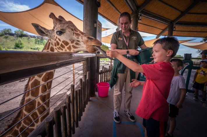 Employee Resource Management Hogle Zoo