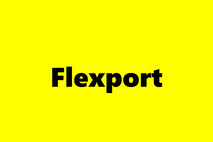 Digital Solutions Provider Flexport