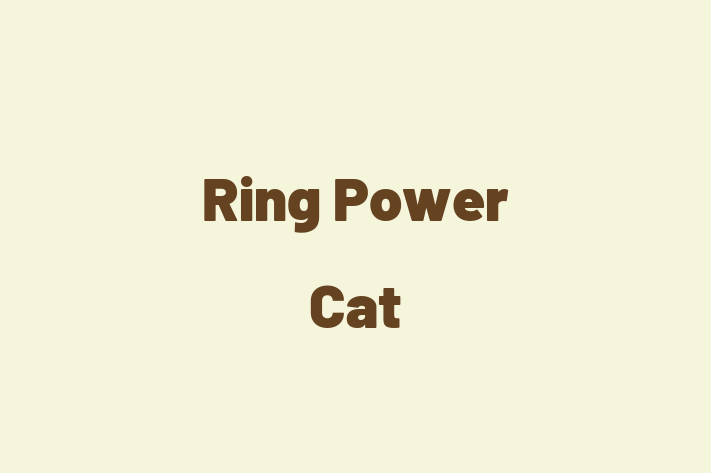 Labor Relations Ring Power Cat