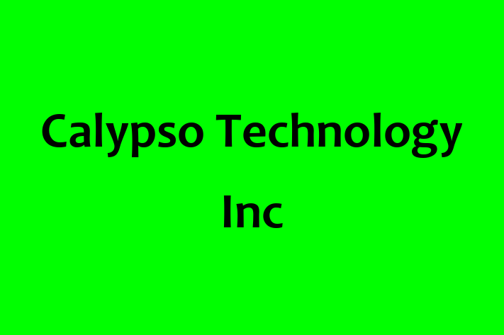 Technology Solutions Firm Calypso Technology Inc