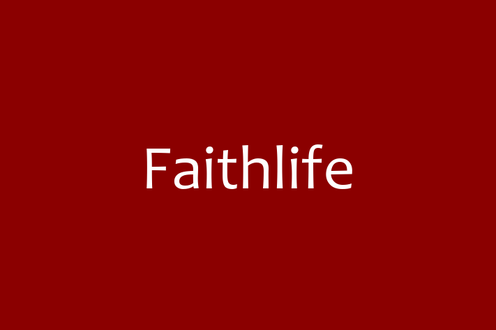 Tech Firm Faithlife