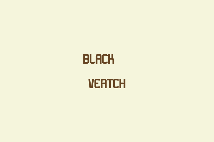 Talent Management Black Veatch