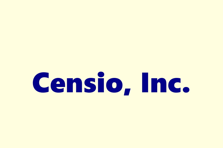 Technology Solutions Firm Censio Inc.