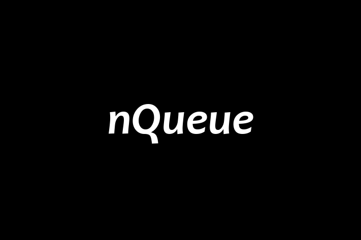 Software Solutions Provider nQueue