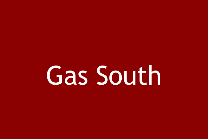 Technology Company Gas South