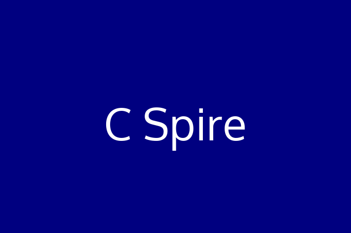 Software Engineering Company C Spire