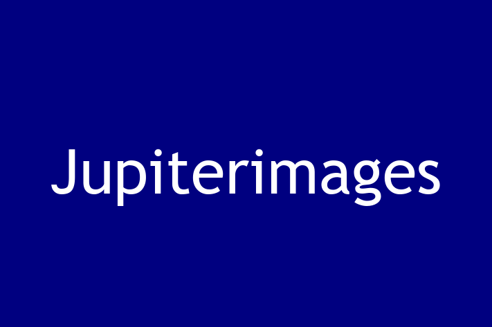 Software Services Company Jupiterimages