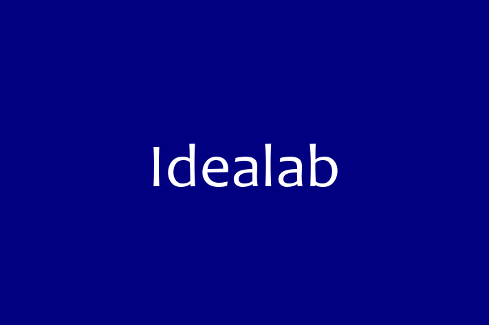 Software Engineering Company Idealab