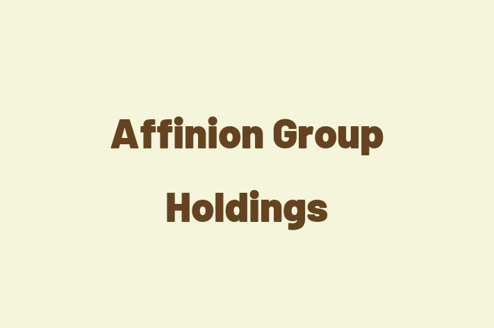 Software Development Company Affinion Group Holdings