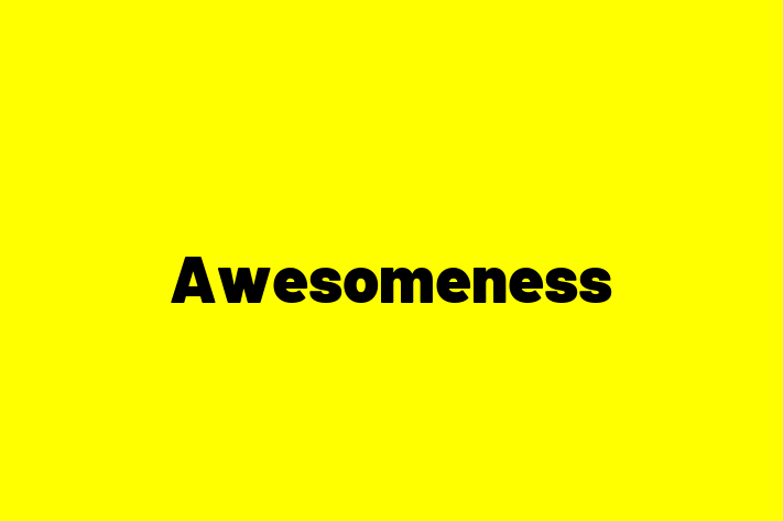 Technology Solutions Firm Awesomeness