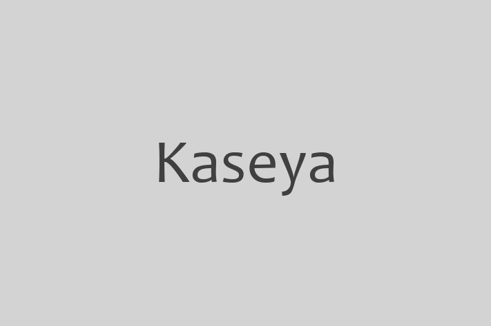 IT Company Kaseya