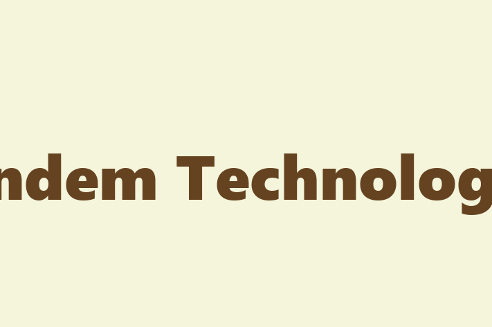 Application Development Company Tandem Technologies