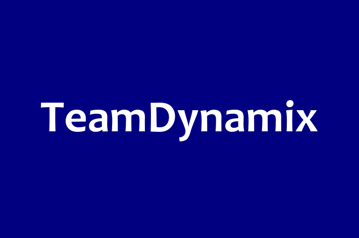 Technology Solutions Firm TeamDynamix