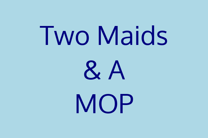 Domestic Cleaning Two Maids A MOP