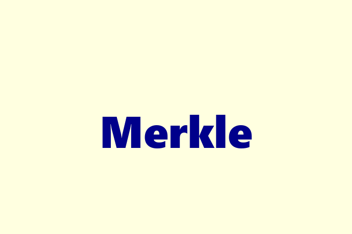 Software Engineering Company Merkle