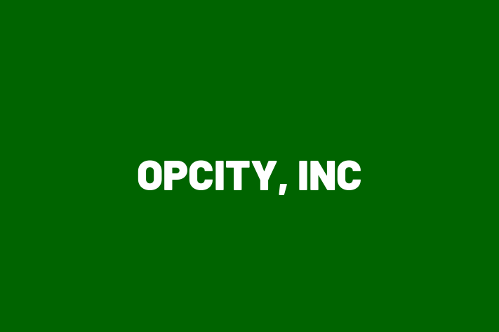 Software Services Company OPCITY INC