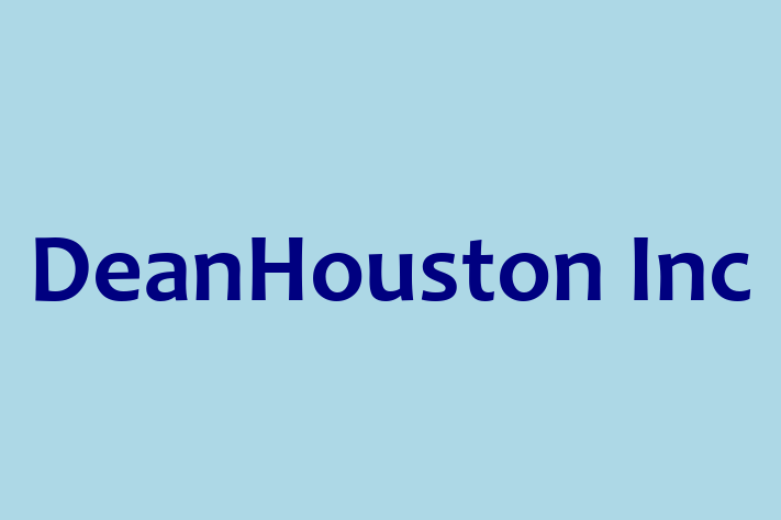 Software Development Firm DeanHouston Inc