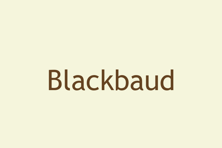 IT Company Blackbaud