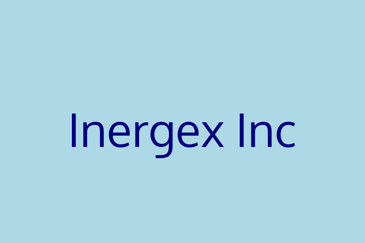 Technology Company Inergex Inc