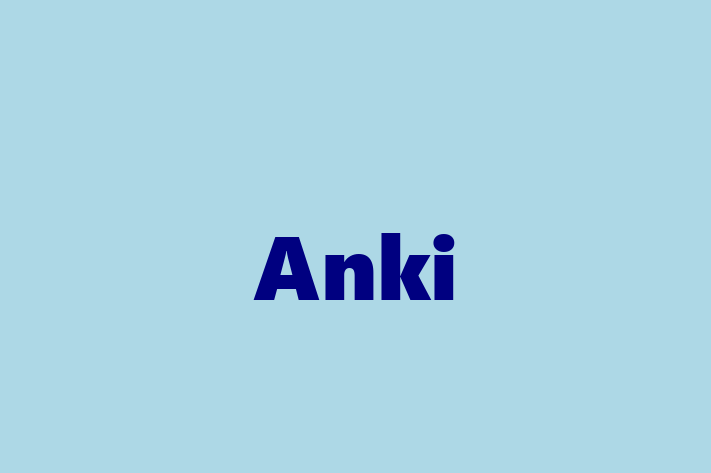 Software Engineering Company Anki