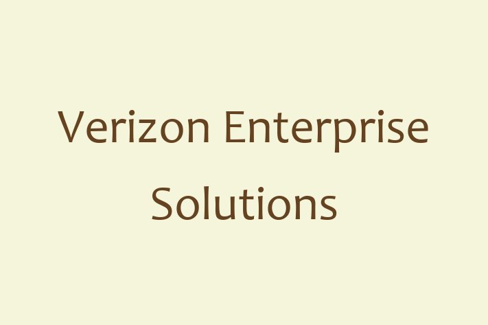 Tech Solutions Company Verizon Enterprise Solutions