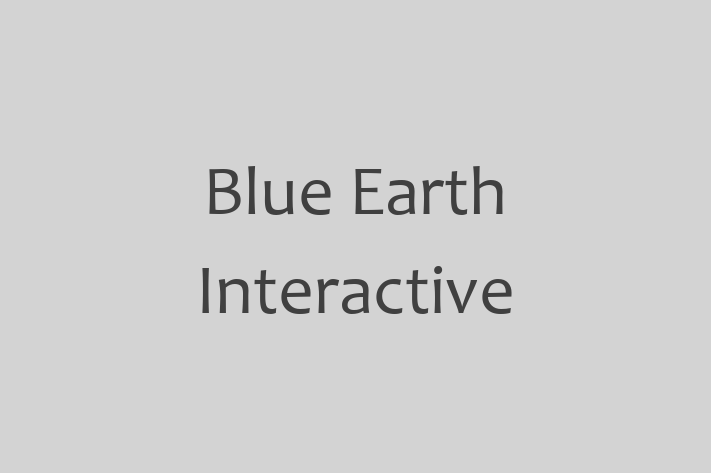 Software Firm Blue Earth Interactive