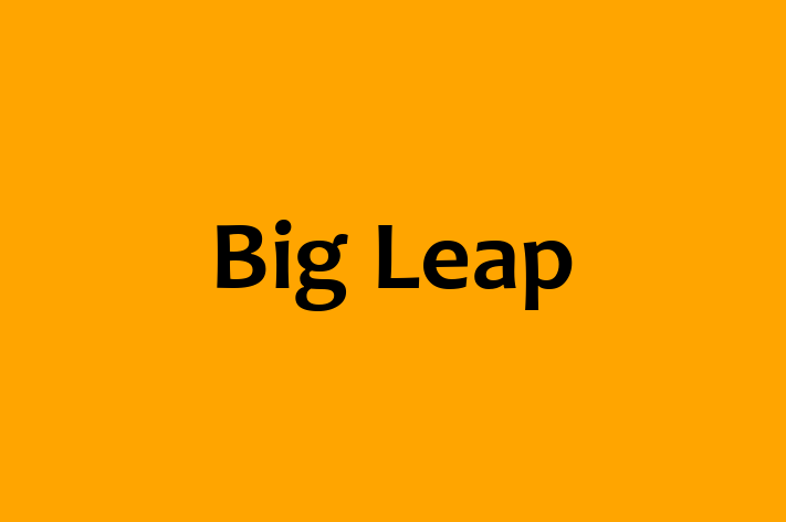 IT Company Big Leap