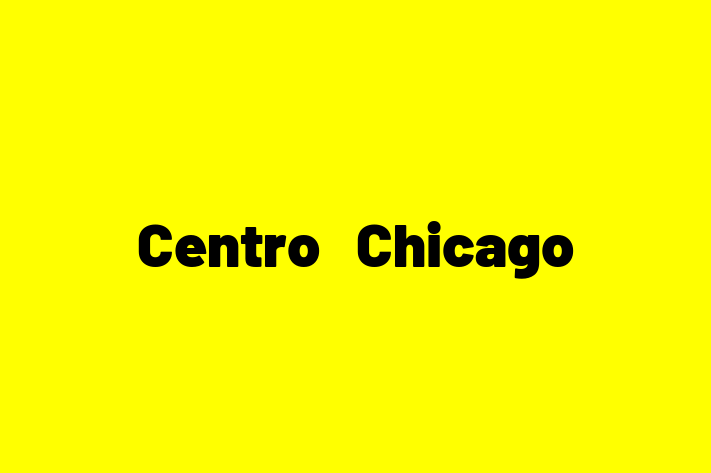 Tech Firm Centro   Chicago