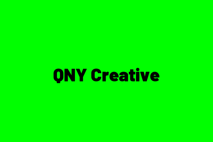 Software Engineering Company QNY Creative