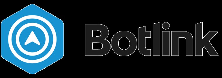 Software Services Company Botlink