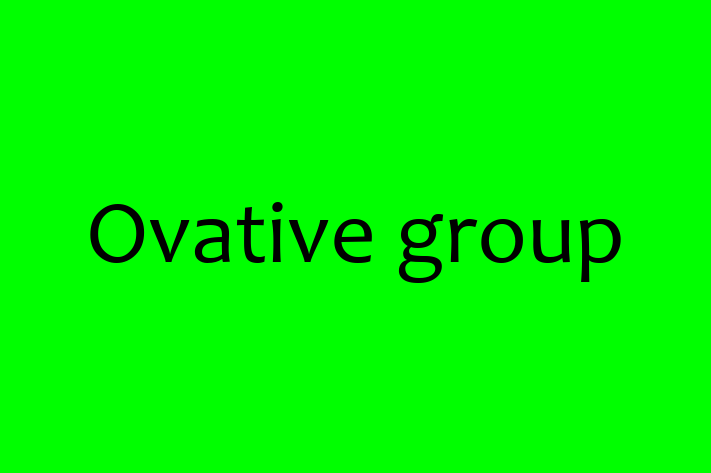 Technology Company Ovative group