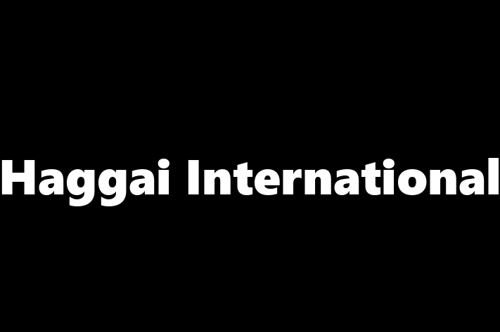 Talent Management Haggai International